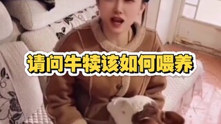 你们那是怎么喂养牛犊的？
