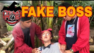 FAKE BOSS I Team MOS Vines