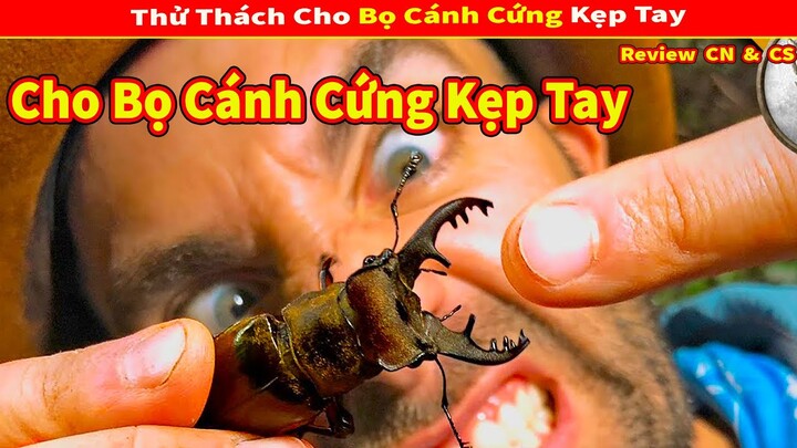 Vua Lì Đòn Thử Thách 24h Sống Chung Với 150 Con Gián Và Cái Kết | Review Con Người Và Cuộc Sống