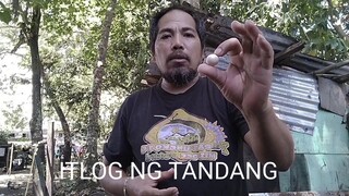 ITLOG NG TANDANG