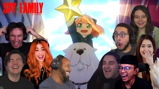 ANYA FOUND A GOOD DOG! Spy X Family Episode 13 Reaction Compilation