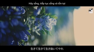 [Vietsub] Rindou - WANIMA