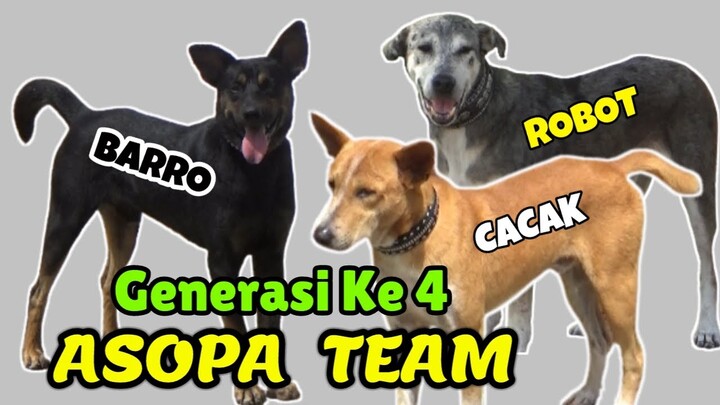 REVIEW ANJING BARU !!! GENERASI KE 4 PASUKAN ASOPA TEAM