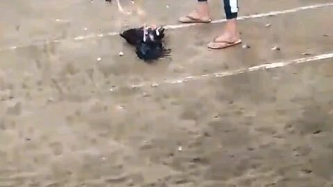 nka 2 hits na cia aklan cockpit arena