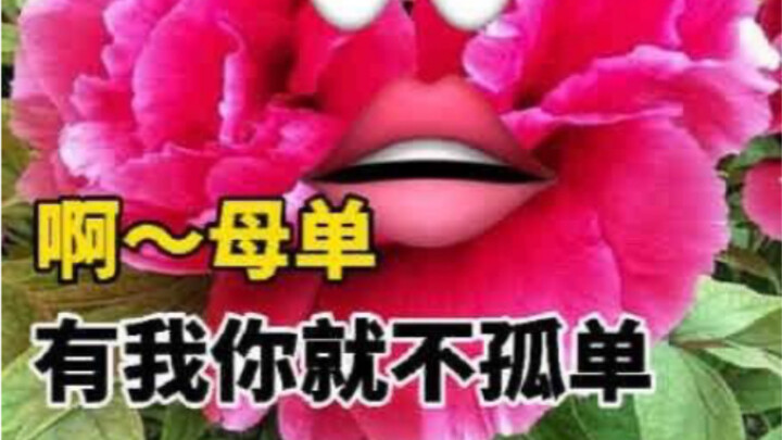 20210820 别看了全黑的，视频有时间修改，江湖不见