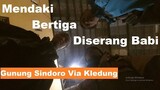 Dokumenter Pendaki #1: Gunung Sindoro, Jawa Tengah [via Kledung - 2019] part 1