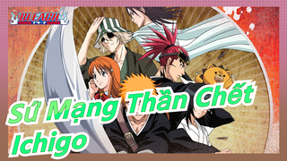 [Sứ Mạng Thần Chết]Tất cả các hình dạng của Ichigo | Bộ phim