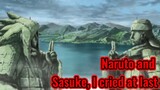 Naruto and Sasuke, I cried at last