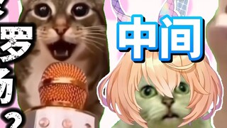 [Cat meme] Hai tuần sau khi năm học bắt đầu, cô gái Sakura vội vã làm bữa trưa cho tôi. Kịch bản kiể