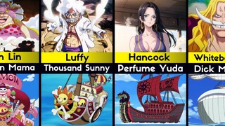 Strongest Character Of Each Pirate Ship In One Piece