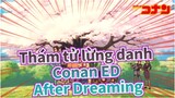 Thám tử lừng danh Conan ED14 「Sau cơn mơ」- QUẠ GARNET