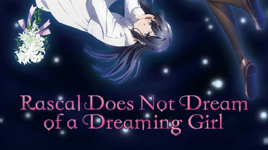 Rascal Does Not Dream Light Novels Enter Final Arc