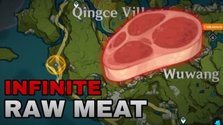 Patch 1.2 Infinite Raw Meat Farming Guide | Genshin Impact