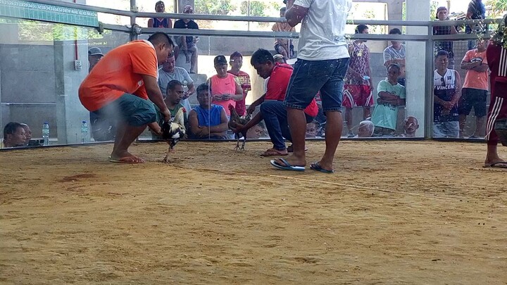 1st fight, Talo, @antequera bohol