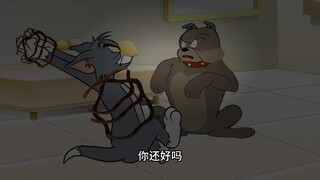 猫鼠规则已被更改