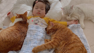 Cats Sleeping With The Child! Healing Video!
