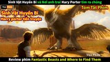 Harry Potter tiền truyện Fantastic Beasts - Review phim Sinh Vật Huyền Bí phần 1