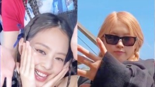 Bộ sưu tập thử thách bốn bông hoa của BlackPink! Rất dễ thương!