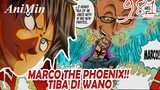 MARCO THE PHOENIX Tiba Di Wano!! - Review Onepiece Chapter 981