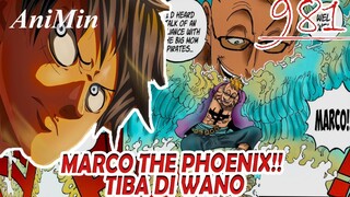 MARCO THE PHOENIX Tiba Di Wano!! - Review Onepiece Chapter 981