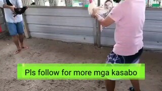 Gaffer di ata marunong? Parang di tinanggalan ng bayna manok namin 😅🤔