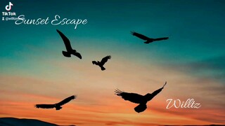 Sunset Escape#