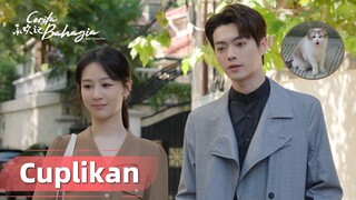 Best Choice Ever | Cuplikan EP22 LOL! Chenghuan Memanggilnya Kucing Liar | WeTV【INDO SUB】