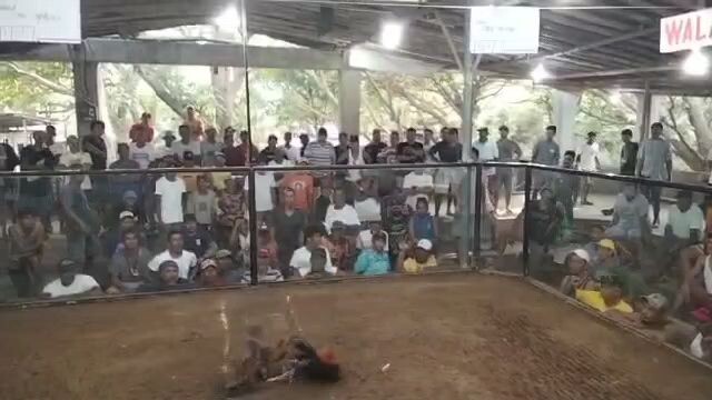 2X winner BULIK "LUBANG COCKPIT ARENA📌"