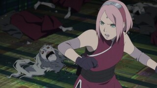 Sakura haruno Fight