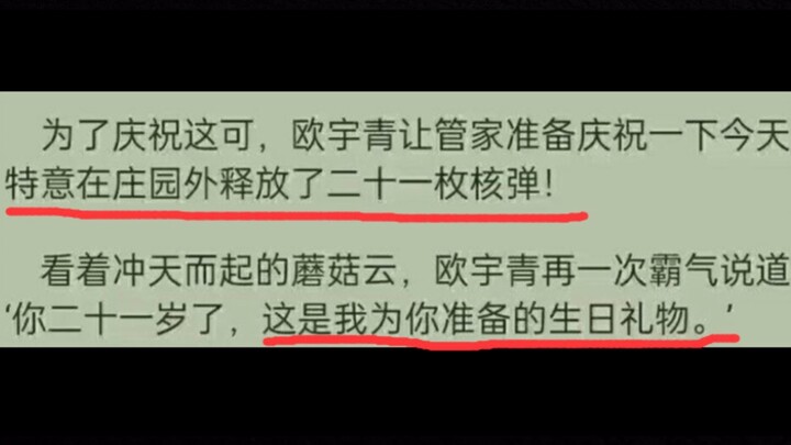 霸道总裁把21枚核弹当烟花放 只为庆祝女主21岁生日？【鉴定网络热门奇葩小说】