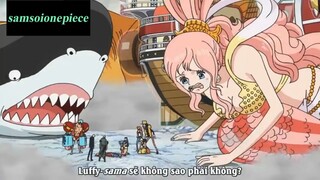 Thánh Sạn lại hiển linh #onepiece #funny