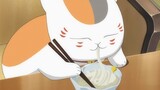 [ Natsume's Book of Friends ] Cat teacher uses chopsticks to make six, eating noodles is a pleasure