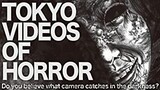tokyo videos of horror vol. 2