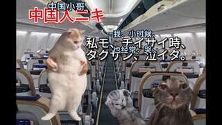 【熟/猫meme】日本主妇去中国后，价值观逐渐发生变化的故事(1）