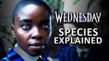 Netflix Wednesday Addams All Species  Explained