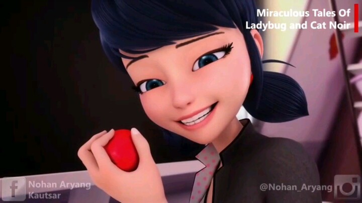 Miraculous: Tales Of Ladybug & Cat Noir (sub indo), season 1, episode 6