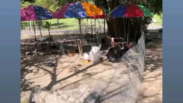 Yaya IG story (lokolokolokoloko)