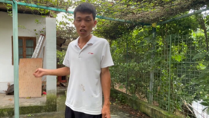Seorang pemuda menggunakan drone untuk menyodok sarang lebah. Adegan itu memakan waktu kurang dari t