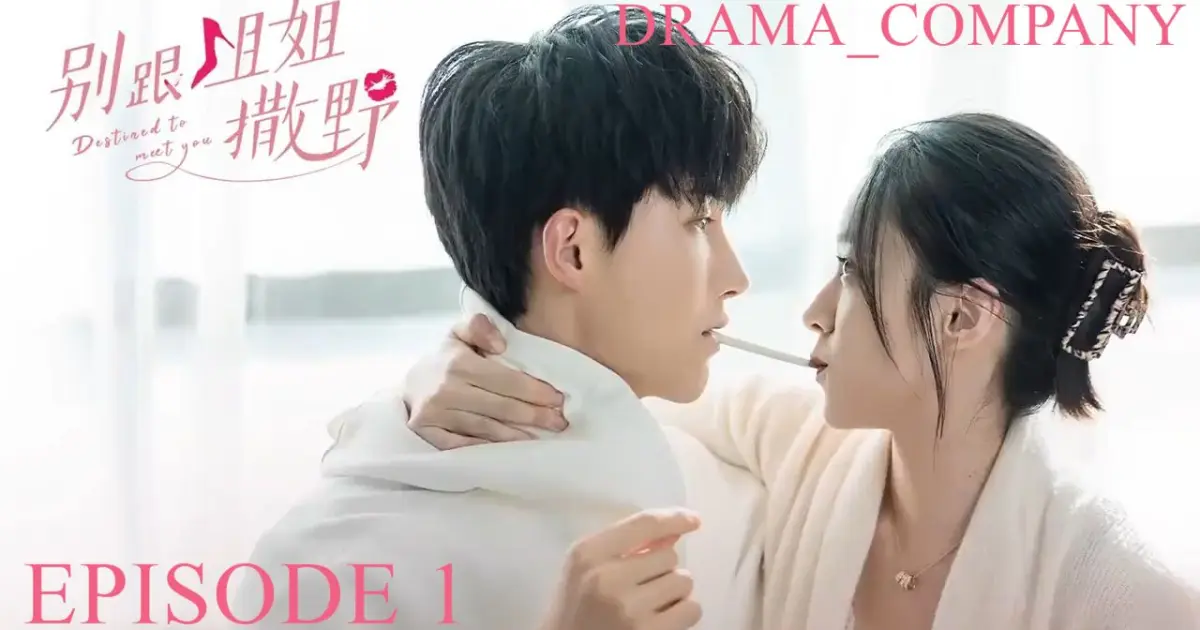 Xem Phim Gặp Em Mùa Ấm Áp - Warm Meet You - online truc tuyen vietsub mien phi hinh anh 0