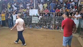 2nd Win