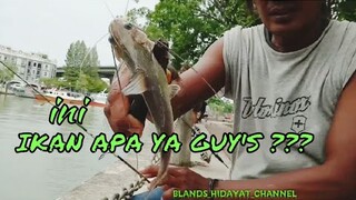 Piye iki tho Bisa Mancing Tapi Gak Tau Nama Ikan