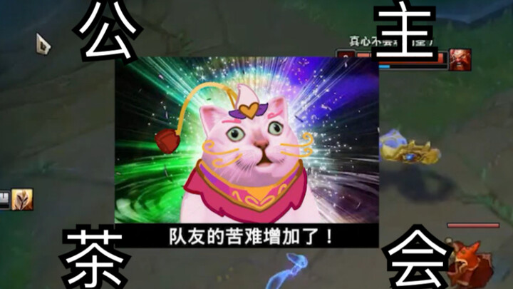 不会真有悠米觉得自己打得过猫吧？