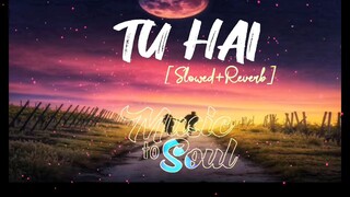 Tu Hai [Slowed Reverb]LoFi _A R. Rahman_MTS _Lofi _Reverb
