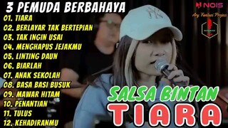 SALSA BINTAN FEAT 3 PEMUDA BERBAHAYA FULL ALBUM TERBARU 2022