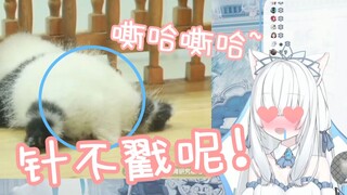 【白雪艾莉娅】熊猫宝宝的屁股针不戳呢！