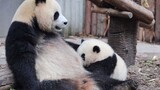 [Panda He Hua] Mau Susu