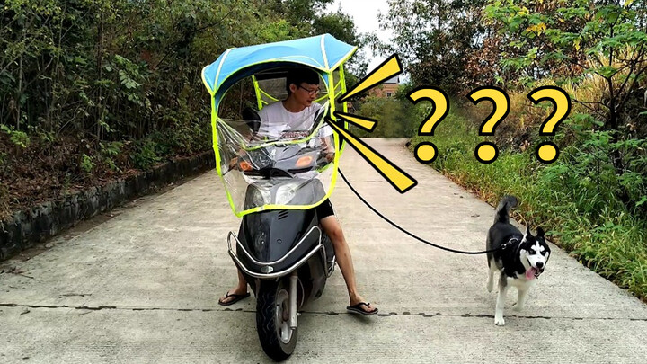 Mengajak Anjing Jalan-Jalan Sambil Naik Motor!