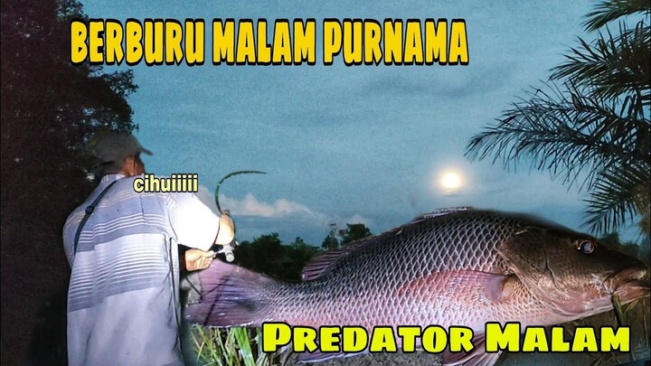 BERBURU MALAM PURNAMA