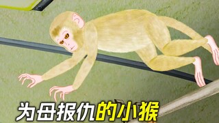 小猴子在公交车上攻击人类，只是为了给母亲报仇