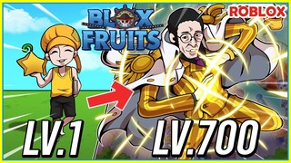 💠ใช้ผลเเสงถาวร ฟาร์มเวล 1 ถึง 700 จะยากเเค่ไหน?👒ใน BLOX FRUITS ᴴᴰ